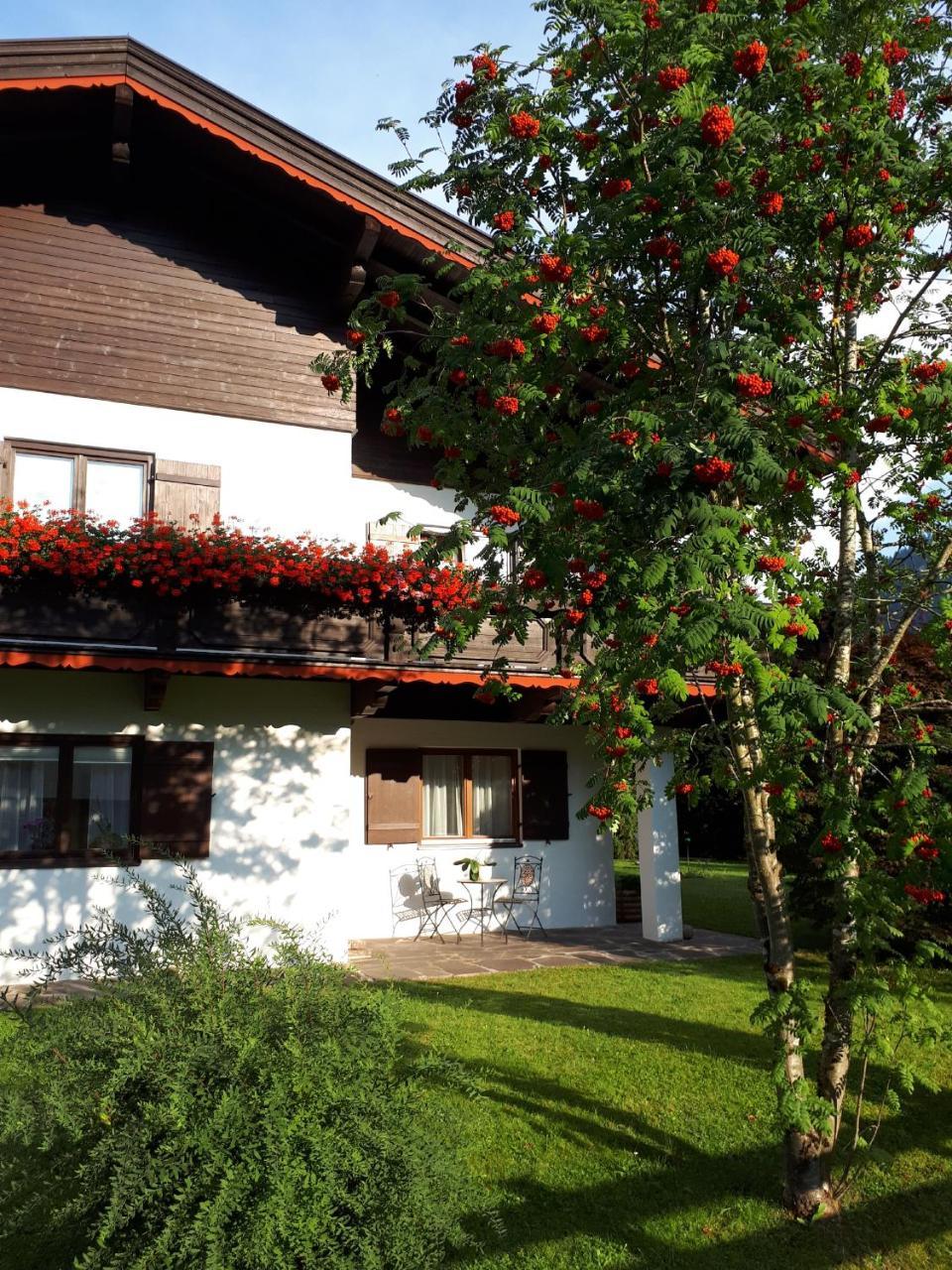 Apartament Haus Slechta Kitzbühel Zewnętrze zdjęcie